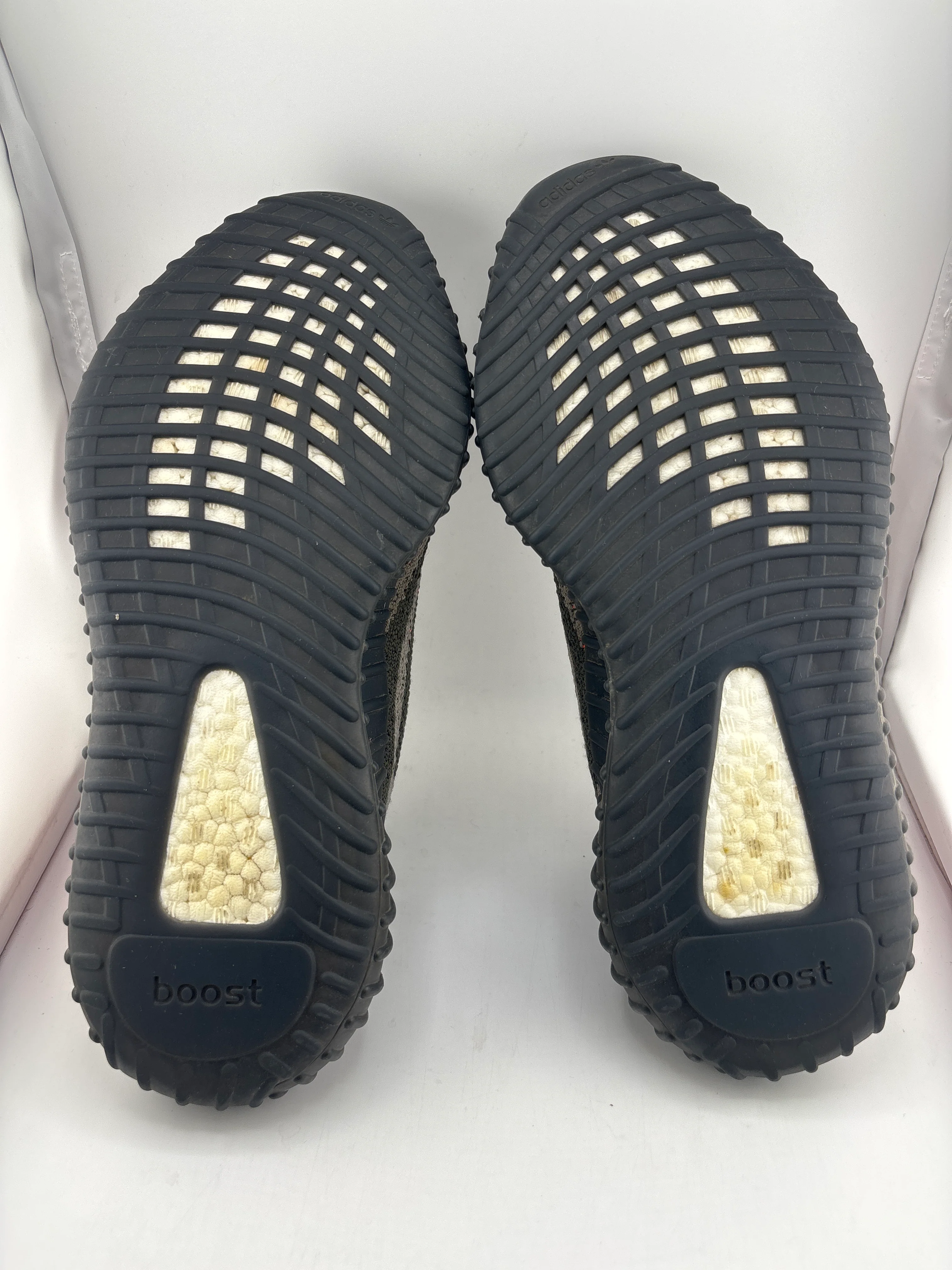 adidas Yeezy Boost 350 V2 Carbon Beluga - Joey Sneakers